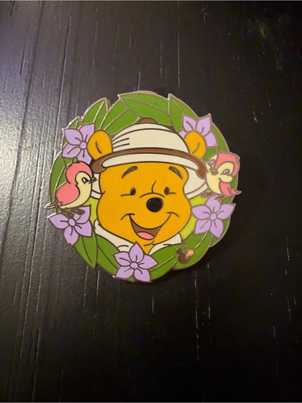 Disney Winnie the Pooh Cast Lanyard Series Pin (Pooh Professions - Safari Pooh)